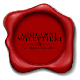 Giovanni Molettieri